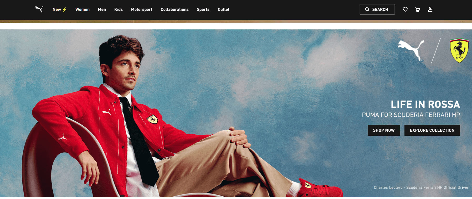 Puma Store Using Magento Platform