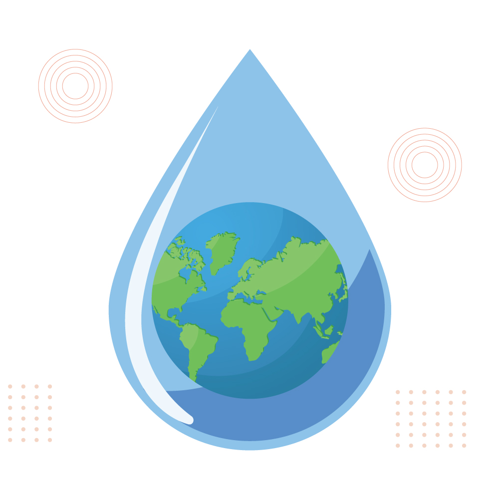 Buy One, Get One Tree Meetanshi Plants A Tree For Each Order