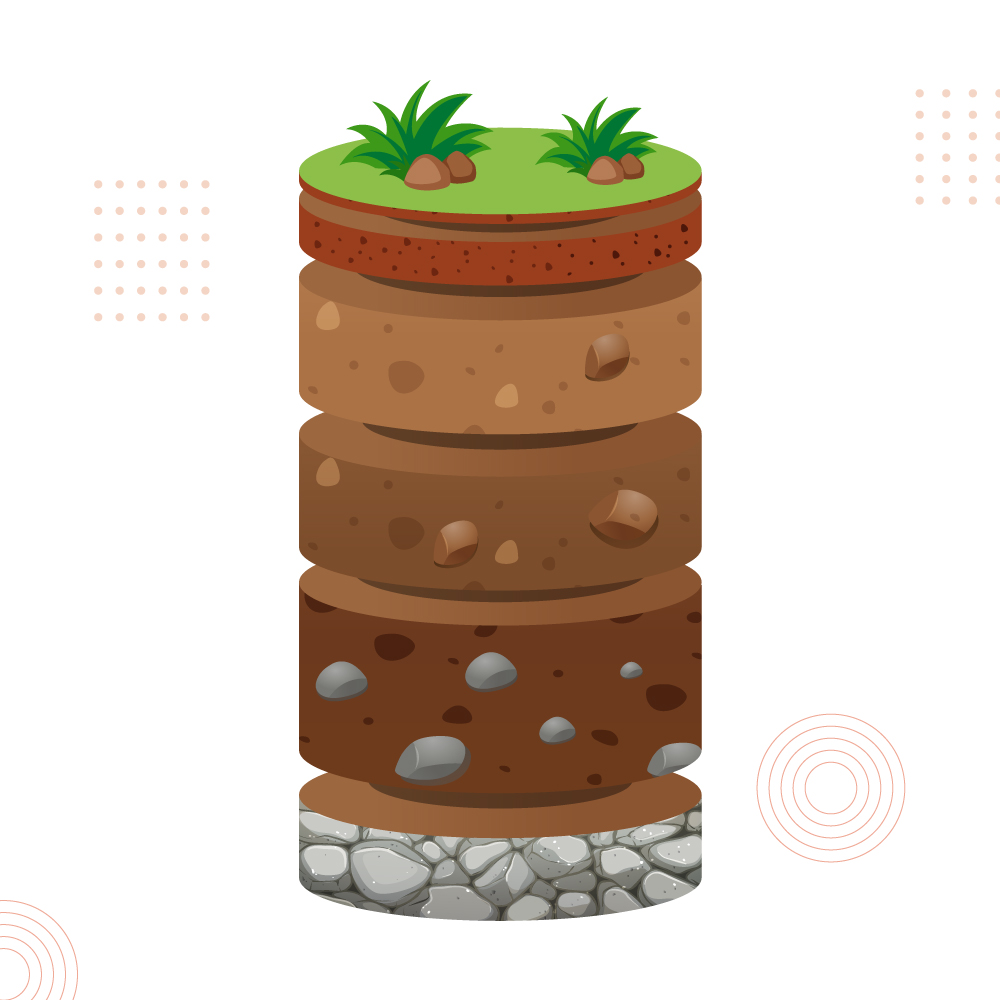 Prevents Soil Erosion