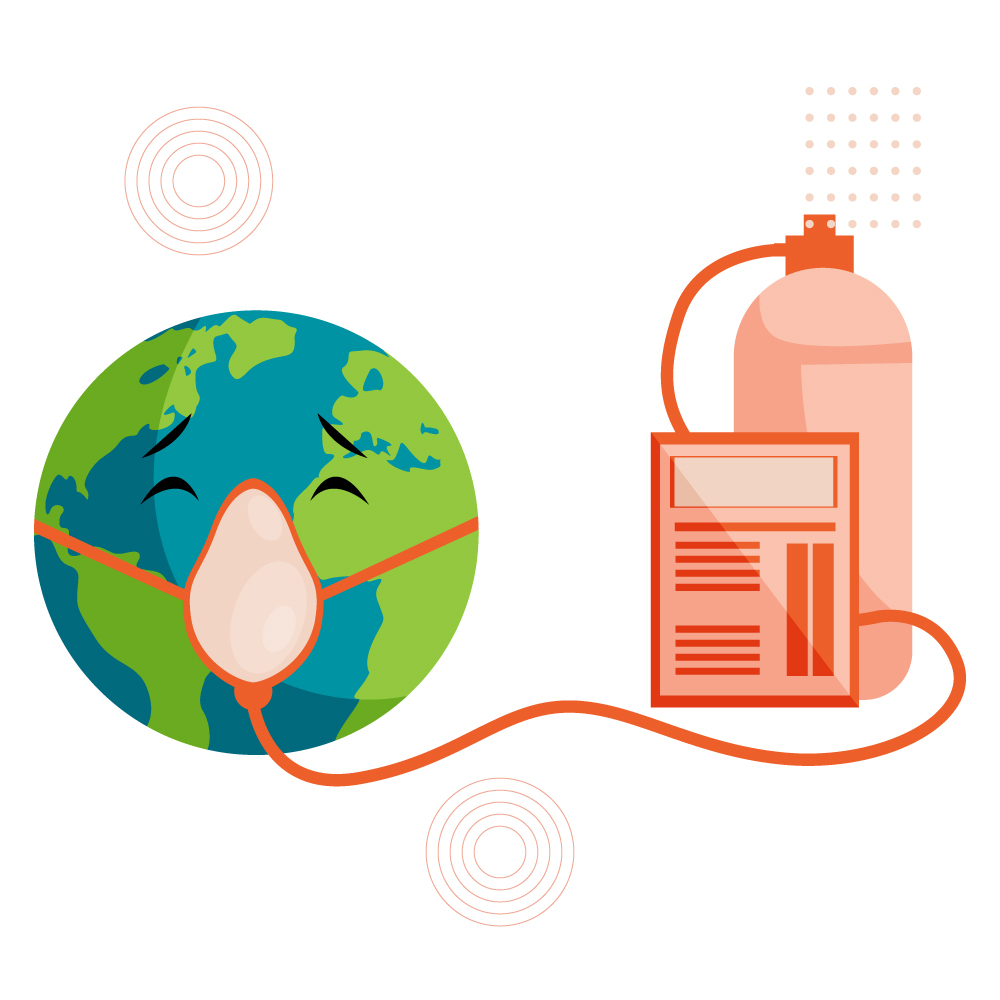 Cleanses Air - Provides More Oxygen