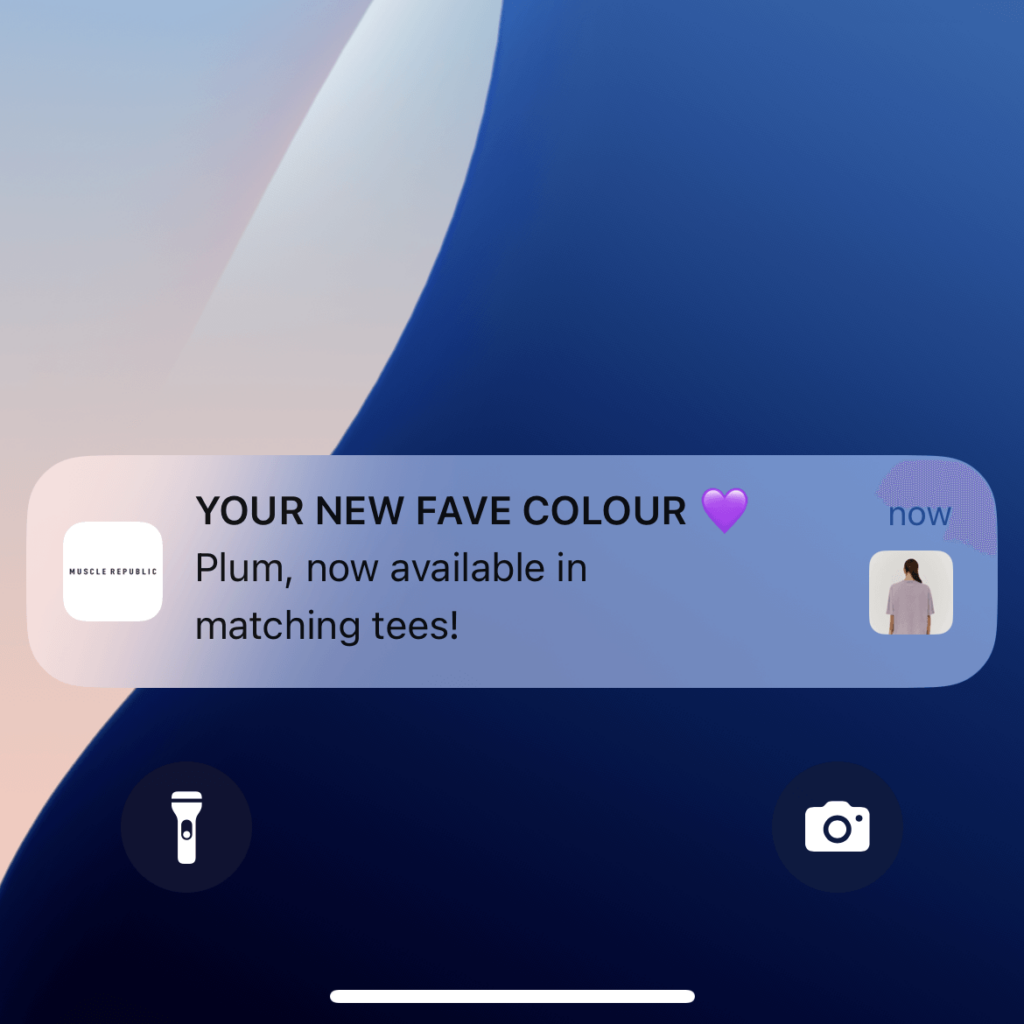 Preview of Shopify push notification