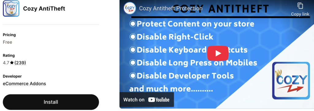 Cozy Antitheft Shopify app