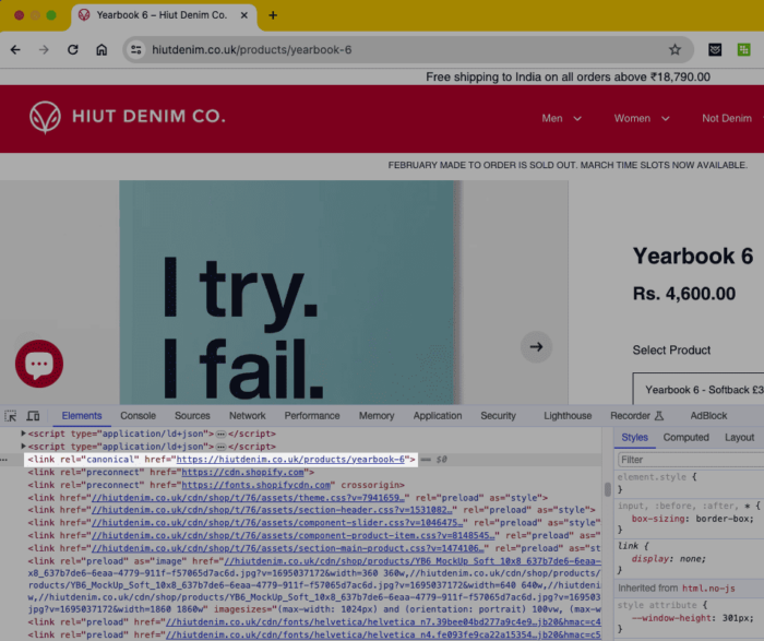 example of a canonical tag on the product page of Hiut Denim