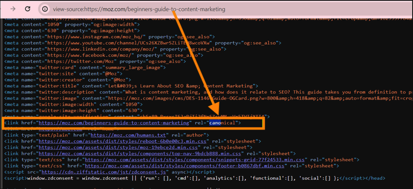 Canonical-tags