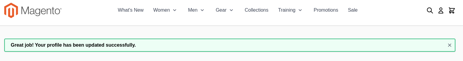 Hyva message using JS example