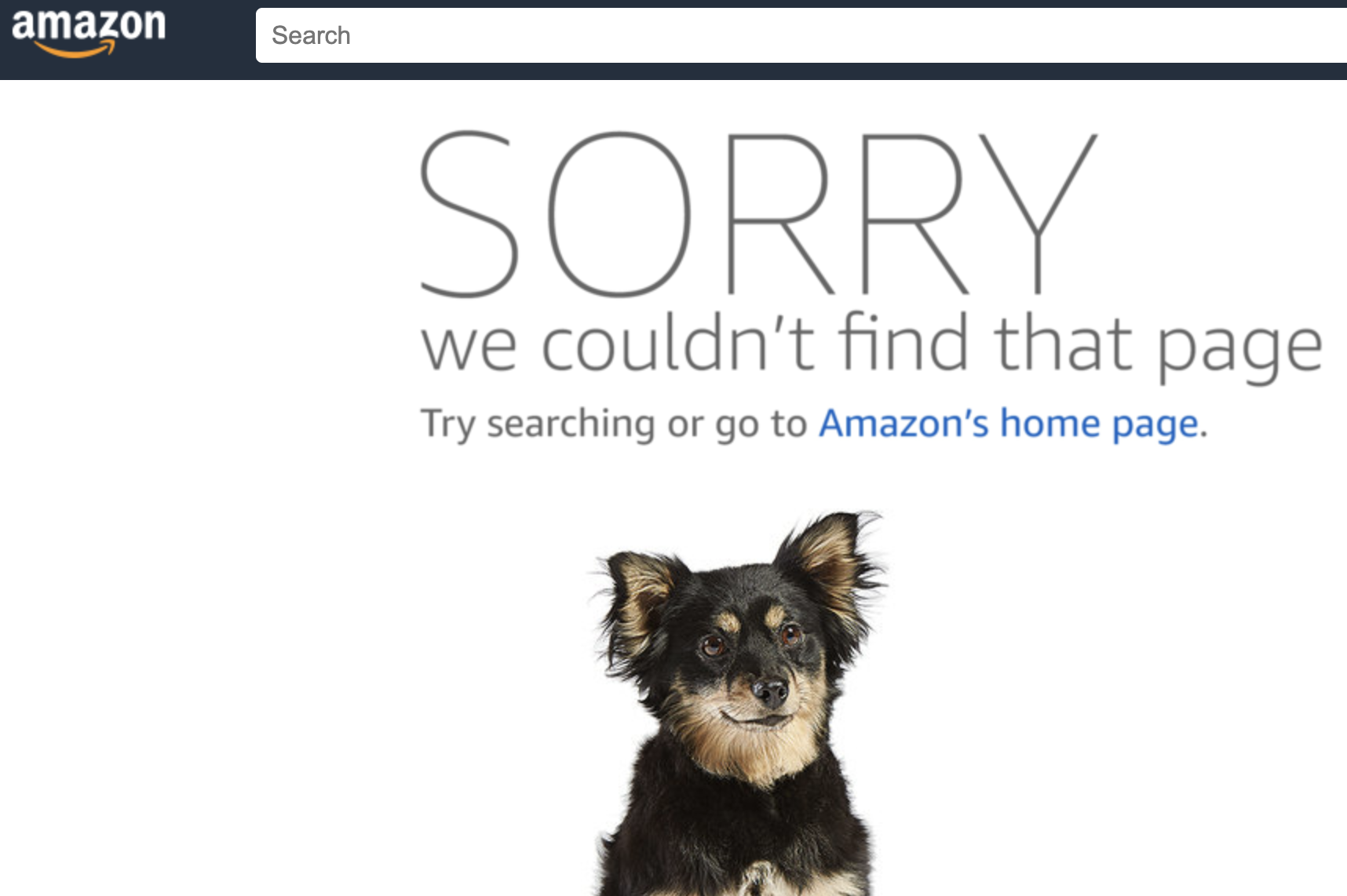 404 Page not found demo