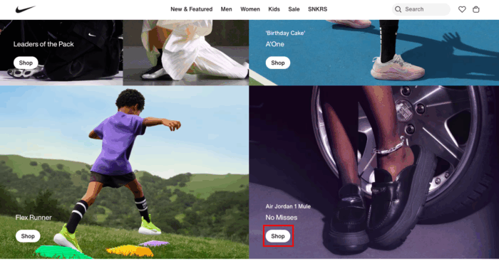Example of buy button