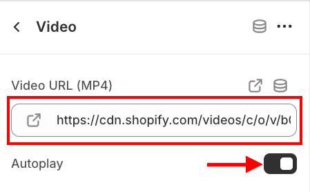 paste the video URL (MP4)