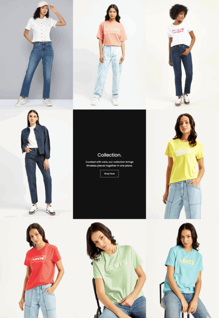 MIT preview