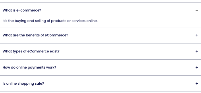 Preview of the Shopify FAQ accordion using the app.