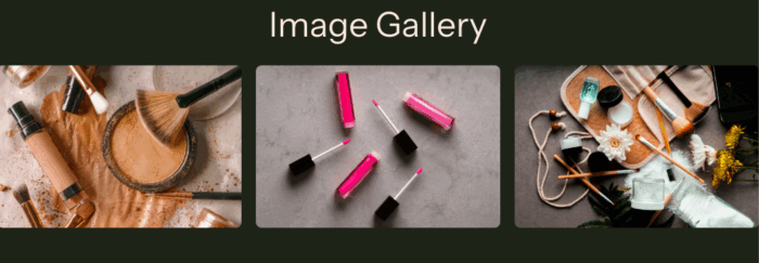 Preview of Shopify image gallery using code. 