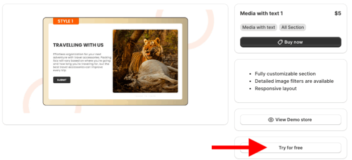 click try for free button to get redirected to the MIT demo store