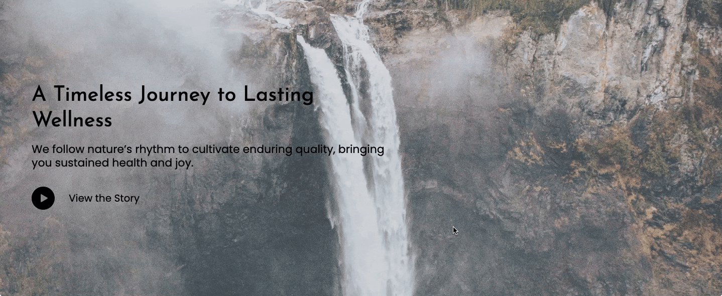 Preview of the Shopify video with text section using a app.