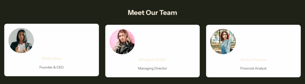 Preview of the team section using custom code