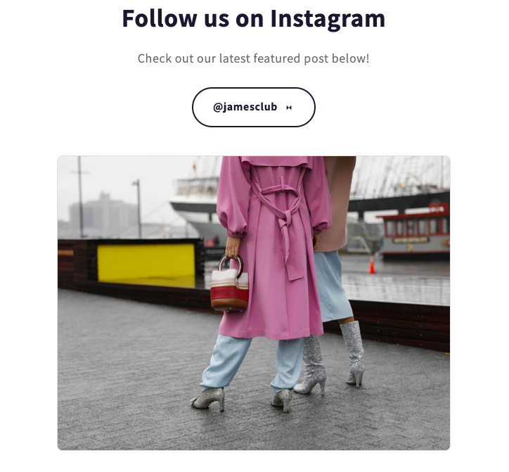preview of the instafeed section in Shopify using custom code