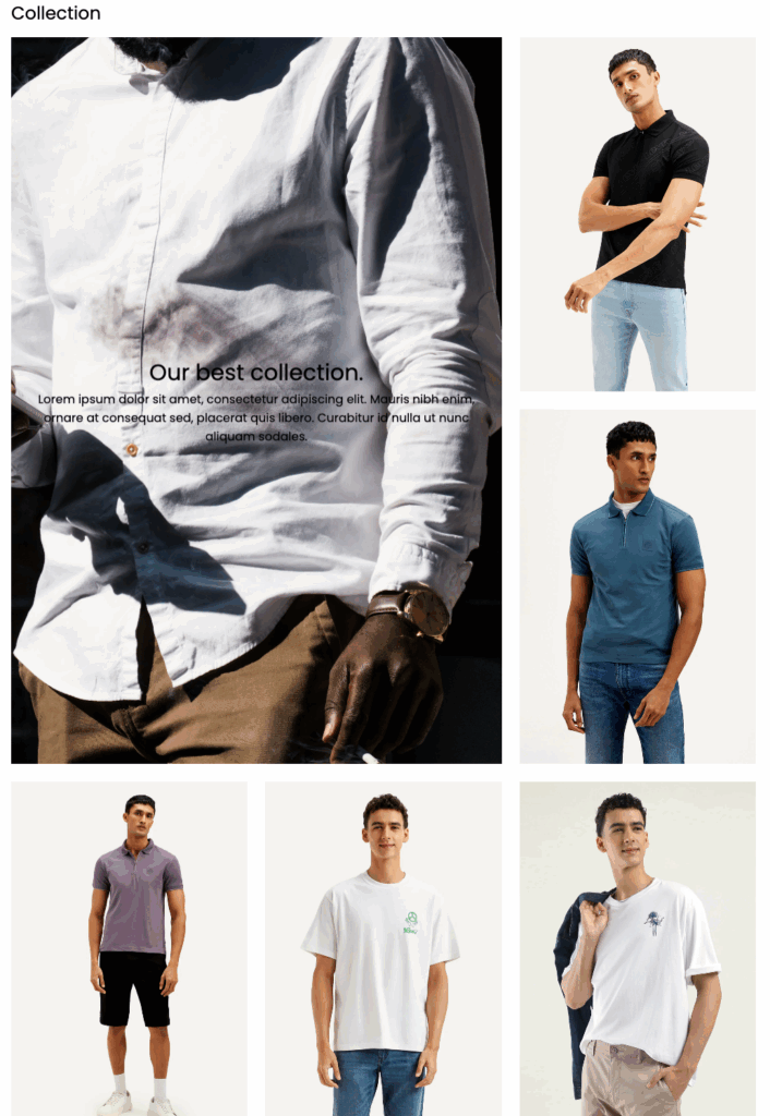 Preview of the custom section shopify using an app