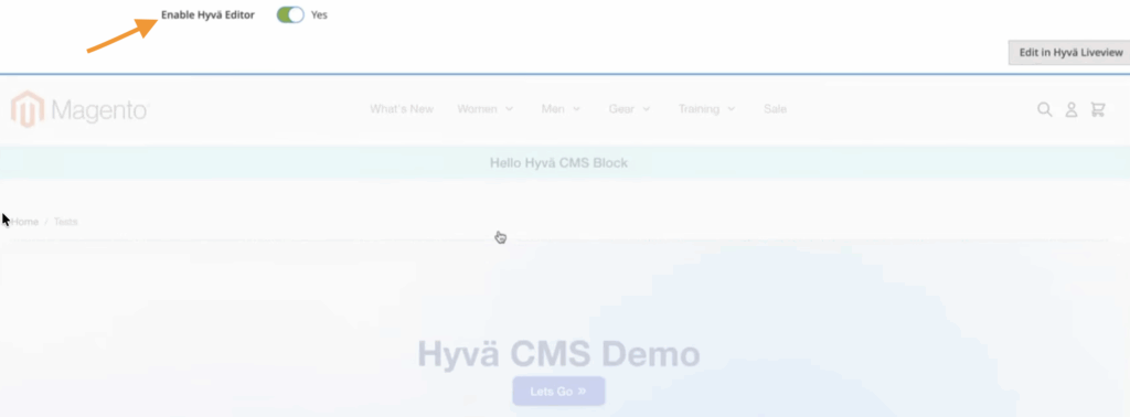 Hyva Editor Demo