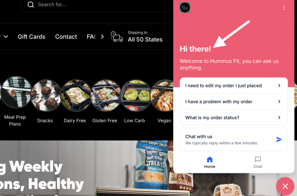 Shopify AI chatbot example