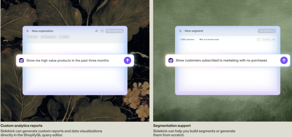Shopify Sidekick