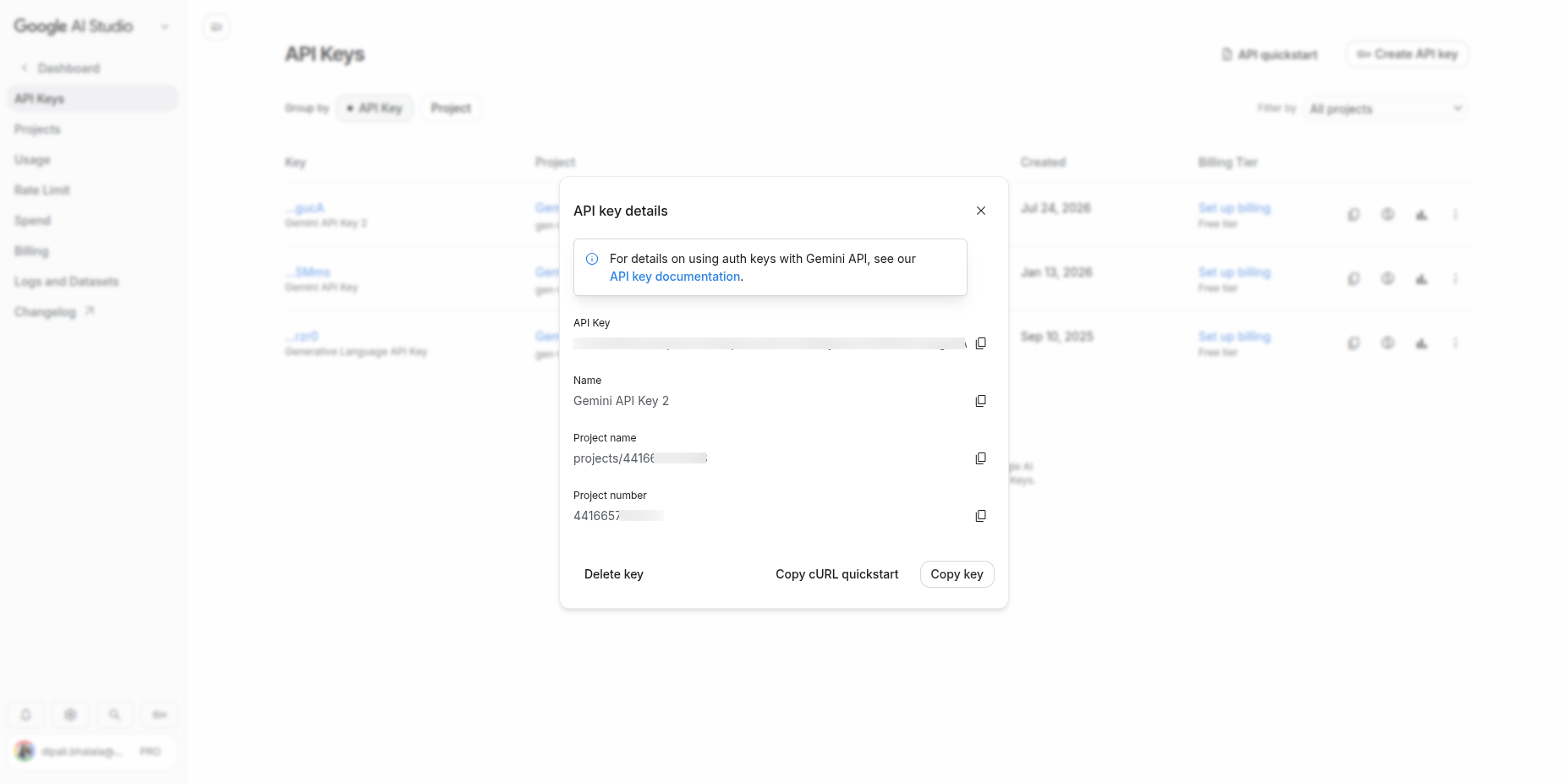 How to get Gemini API Key