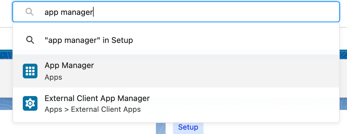 Salesforce Setup App Manager Navigation