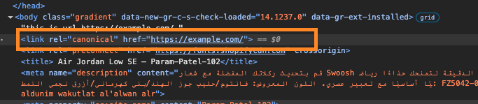 html view of canonical tag after adding canonical