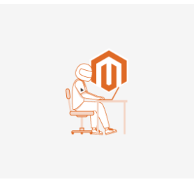Hire Magento Developer