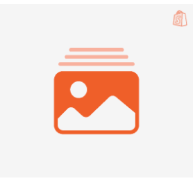 Shopify Image gallery Section