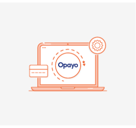 Magento 2 Opayo Payments
