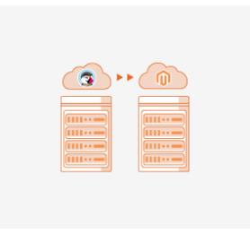 Prestashop to Magento Migration Service