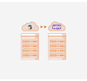 PrestaShop to WooCommerce Migration Service
