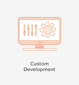 Custom Development Extension