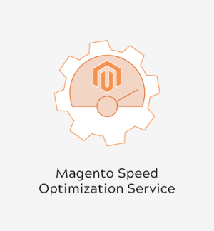 Magento Speed Optimization Service
