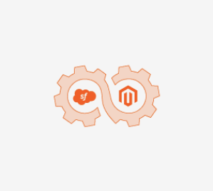Magento 2 Salesforce Integration Extension