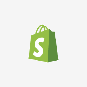 Shopify Store Setup Service