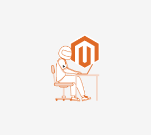 Hire Magento Developer