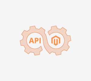 Magento API Integration Service