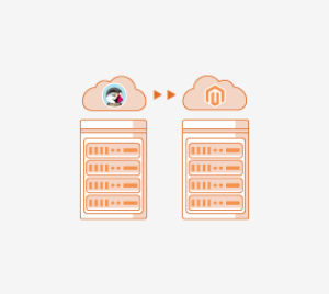 Prestashop to Magento Migration Service