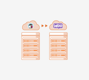 PrestaShop to WooCommerce Migration Service