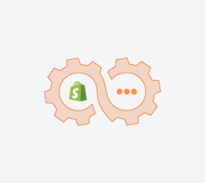 Shopify Integration Services