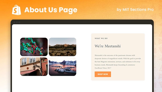 Shopify About Us Page Section